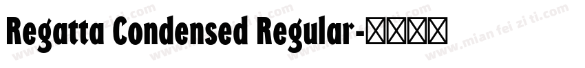 Regatta Condensed Regular字体转换